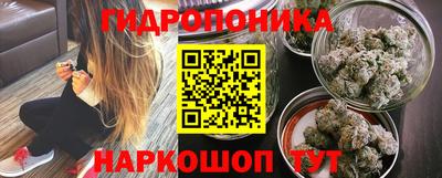 стаф Кимры