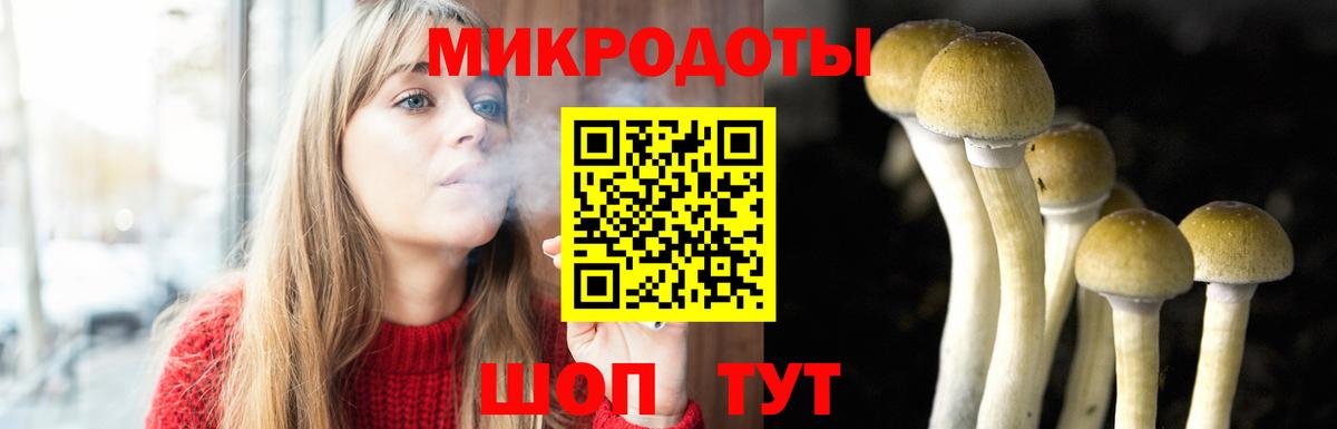 Псилоцибиновые грибы прущие грибы Заинск